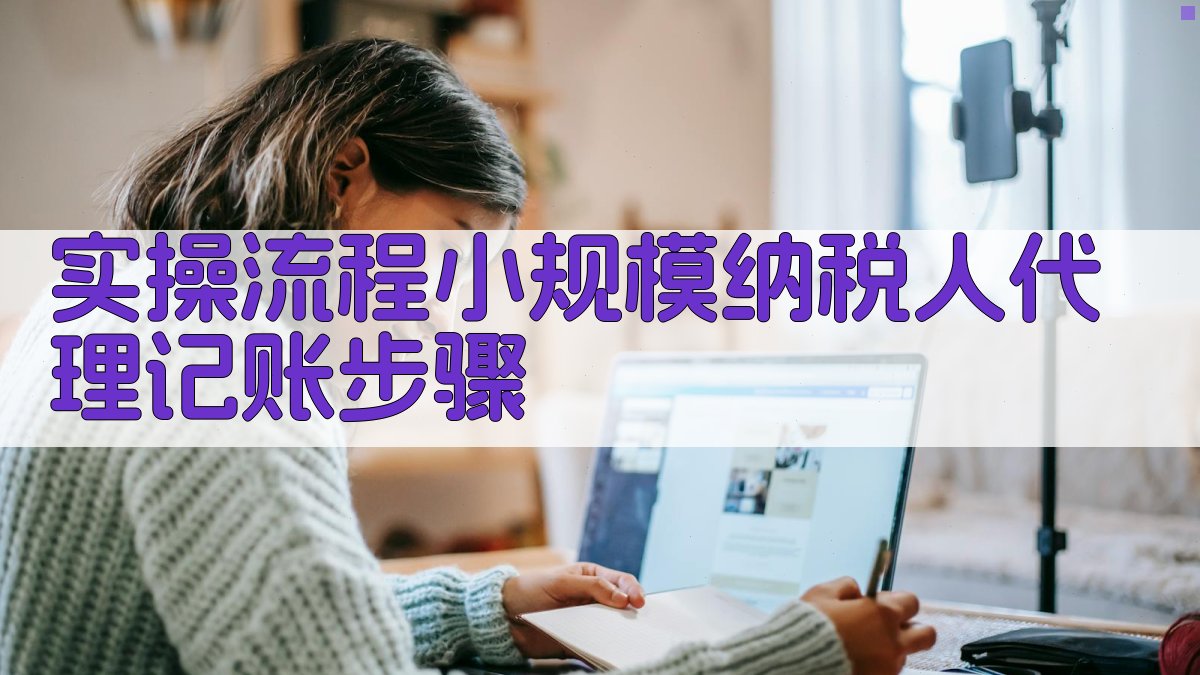 实操流程：小规模纳税人代理记账步骤 图3