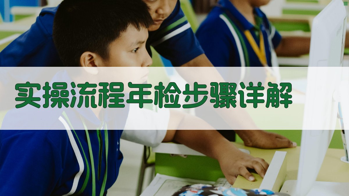 实操流程：年检步骤详解 图3