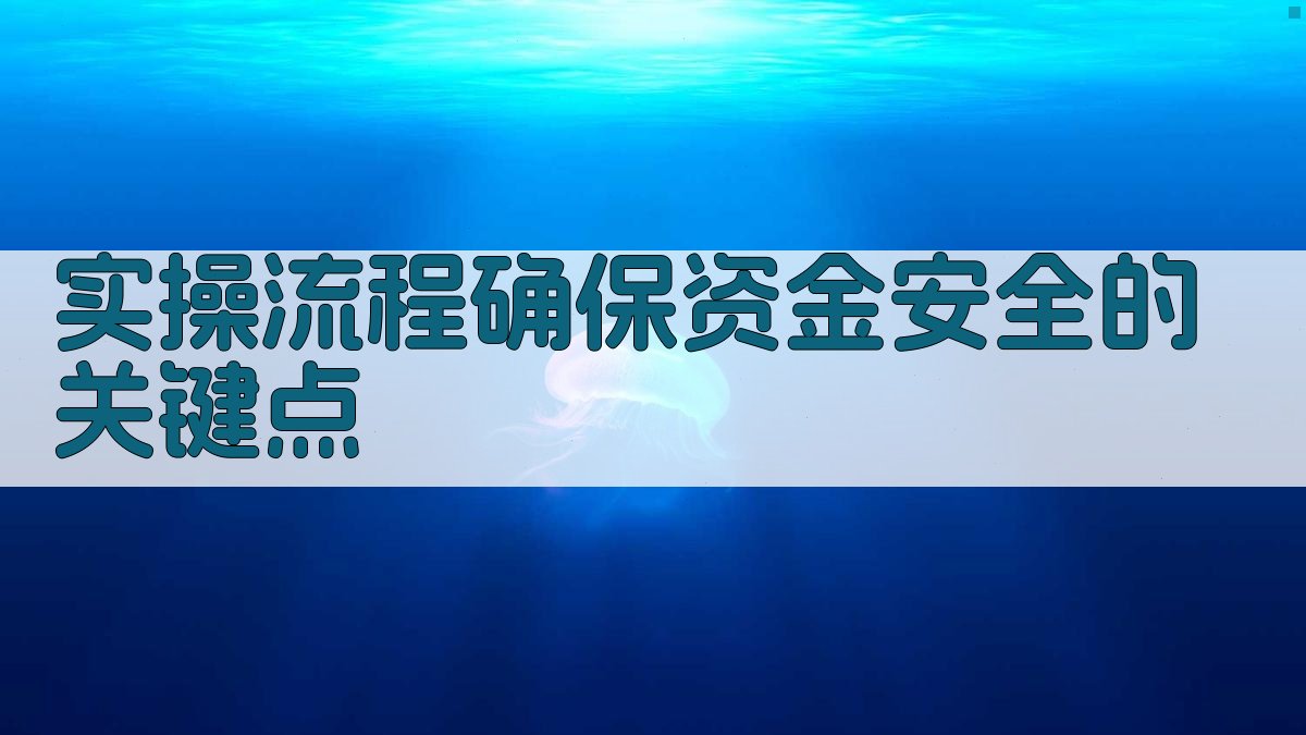 实操流程：确保资金安全的关键点 图2
