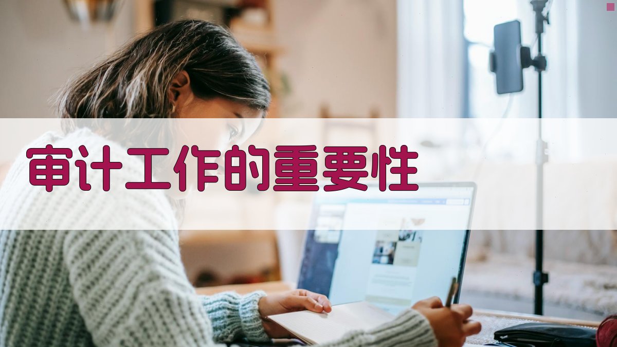 审计工作的重要性 图1