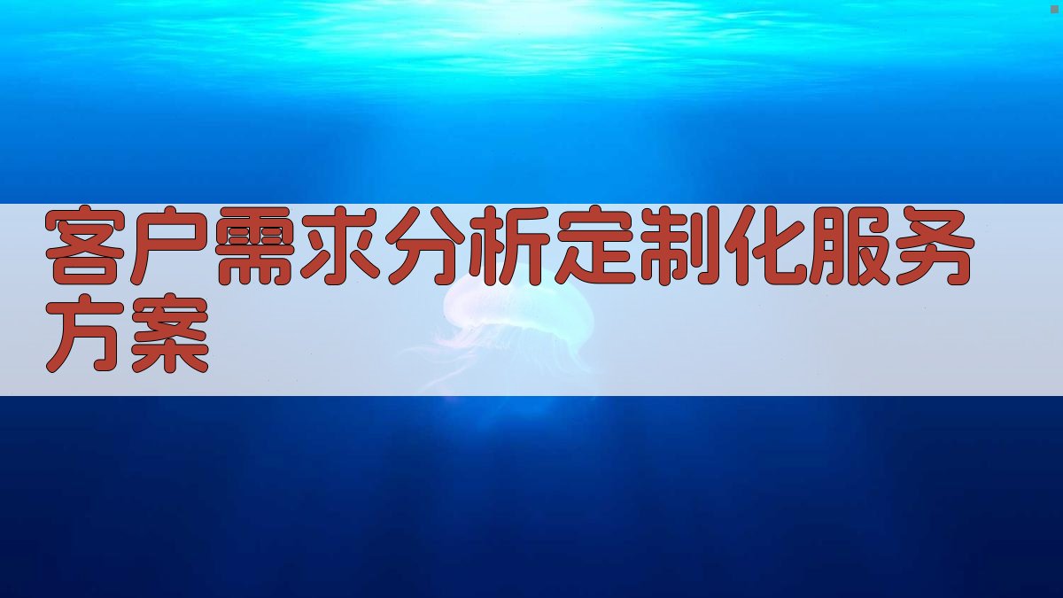 客户需求分析，定制化服务方案 图1
