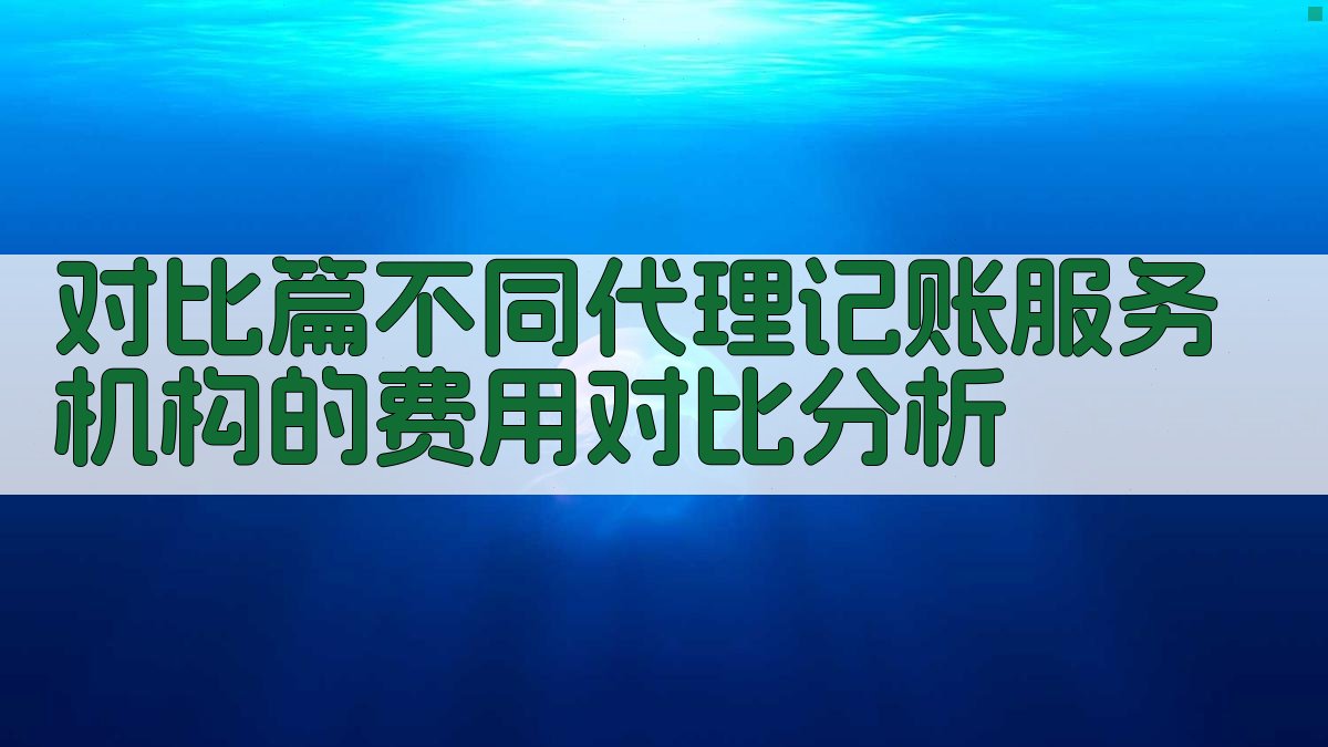 对比篇不同代理记账服务机构的费用对比分析 图2