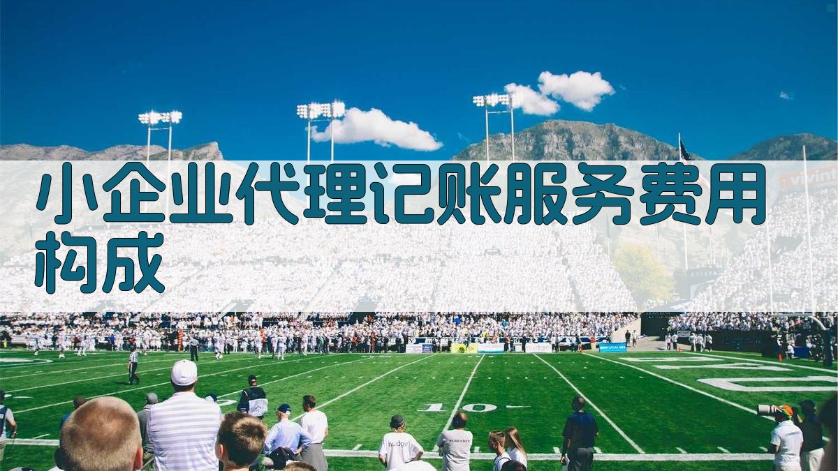 小企业代理记账服务费用构成 图1