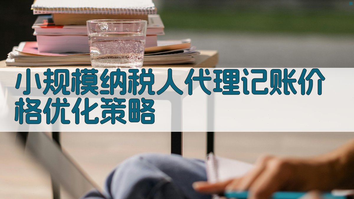 小规模纳税人代理记账价格优化策略 图3