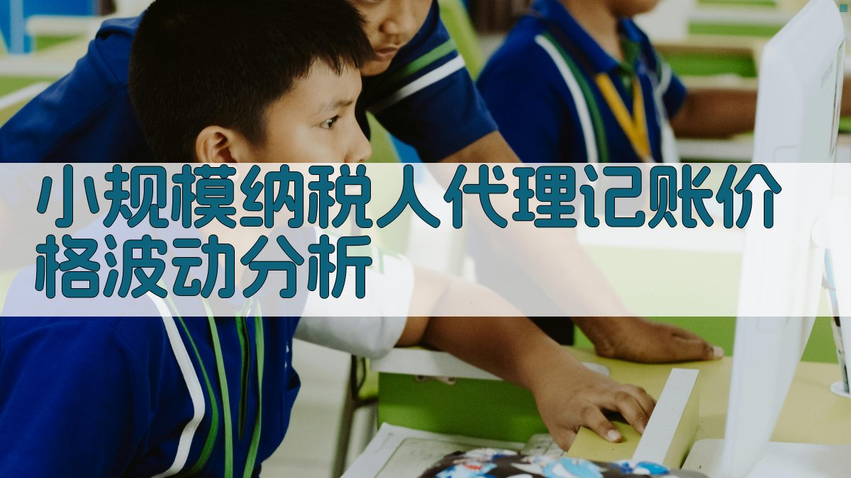 小规模纳税人代理记账价格波动分析 图2