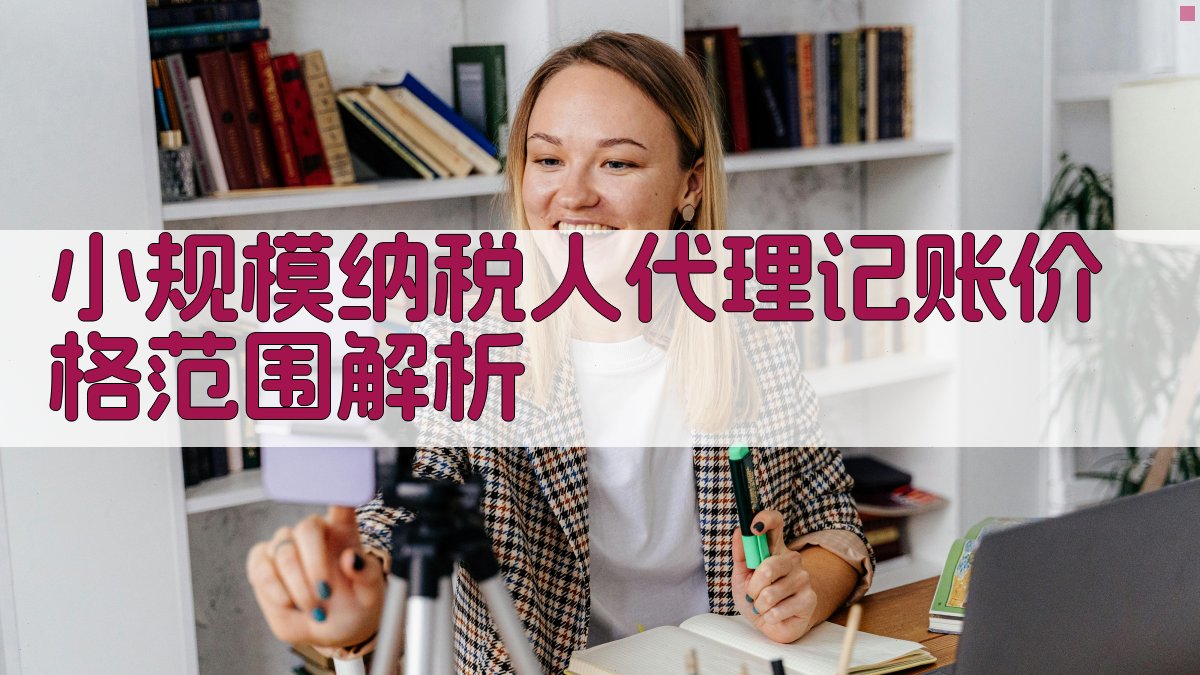 小规模纳税人代理记账价格范围解析 图2