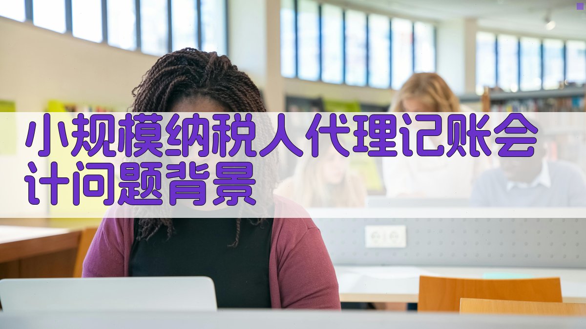 小规模纳税人代理记账会计问题背景 图1