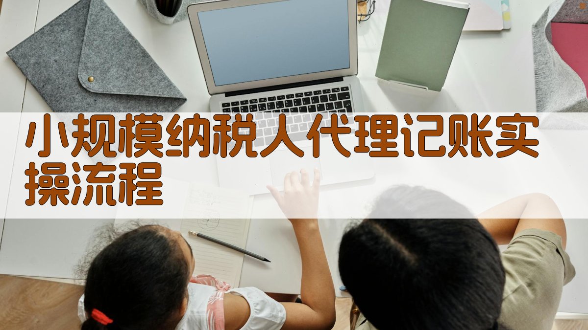 小规模纳税人代理记账实操流程 图1