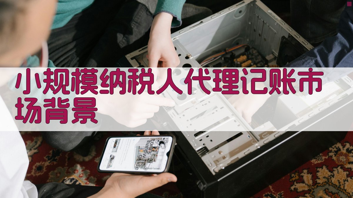 小规模纳税人代理记账市场背景 图1