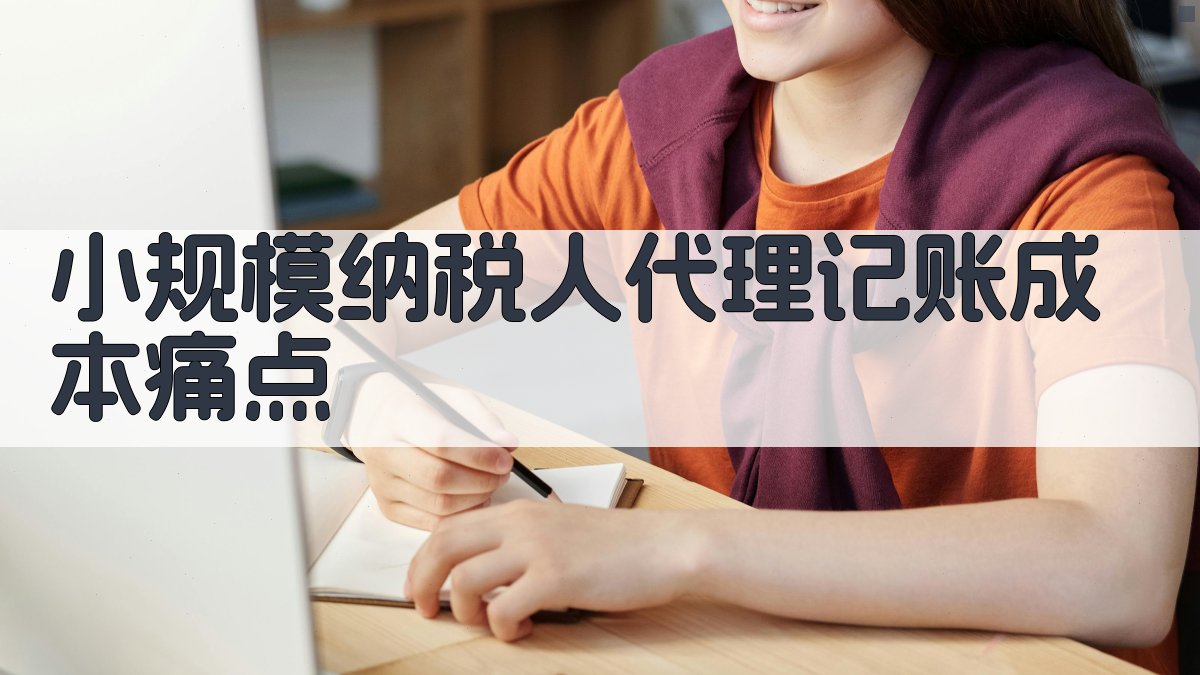 小规模纳税人代理记账成本痛点 图1