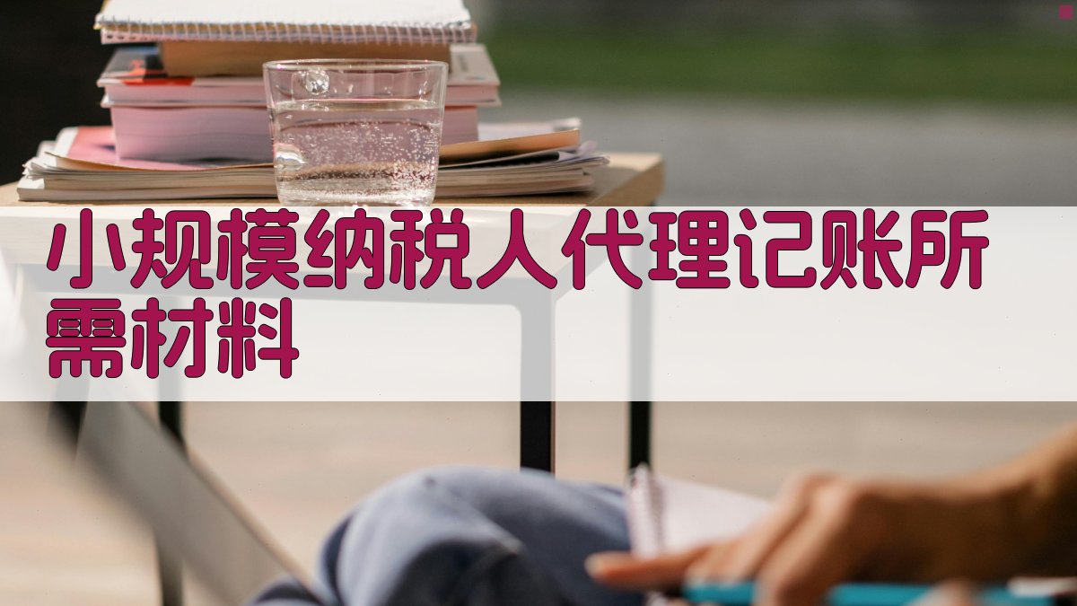 小规模纳税人代理记账所需材料 图2