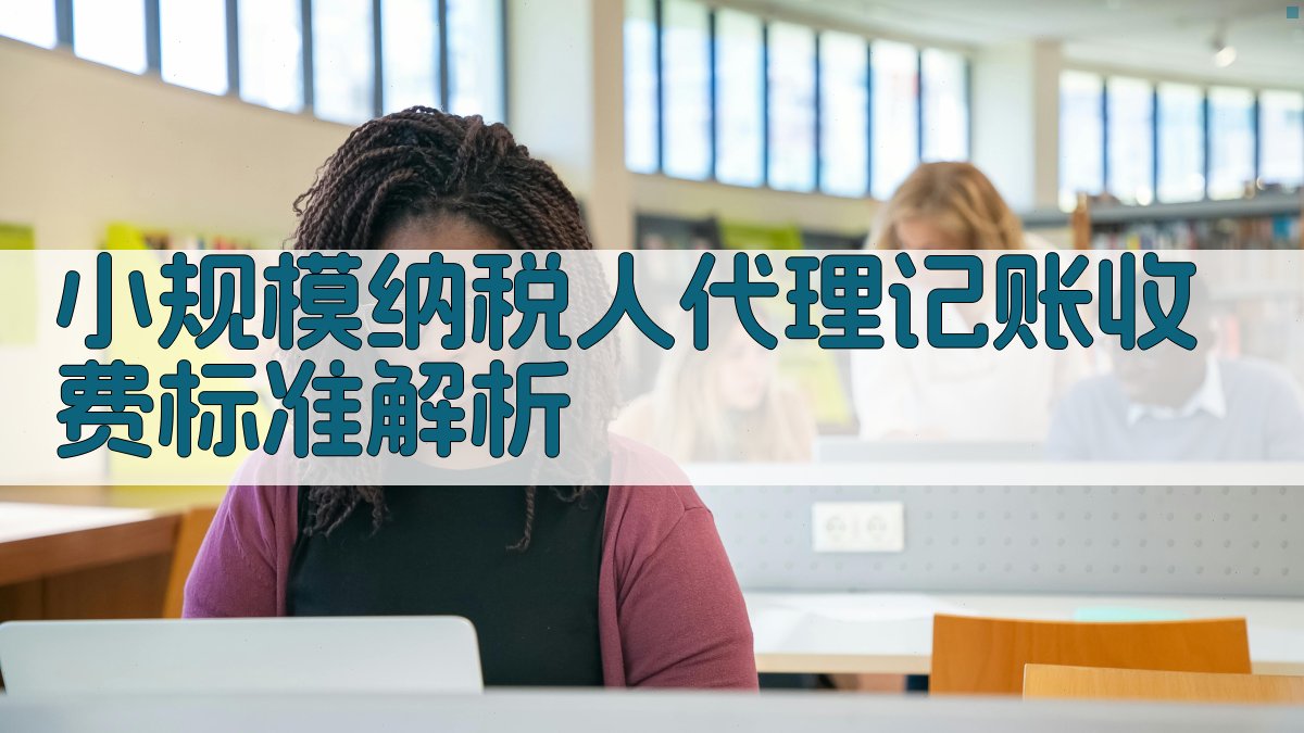 小规模纳税人代理记账收费标准解析 图2