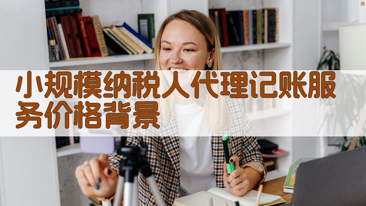 小规模纳税人代理记账服务价格背景 图1