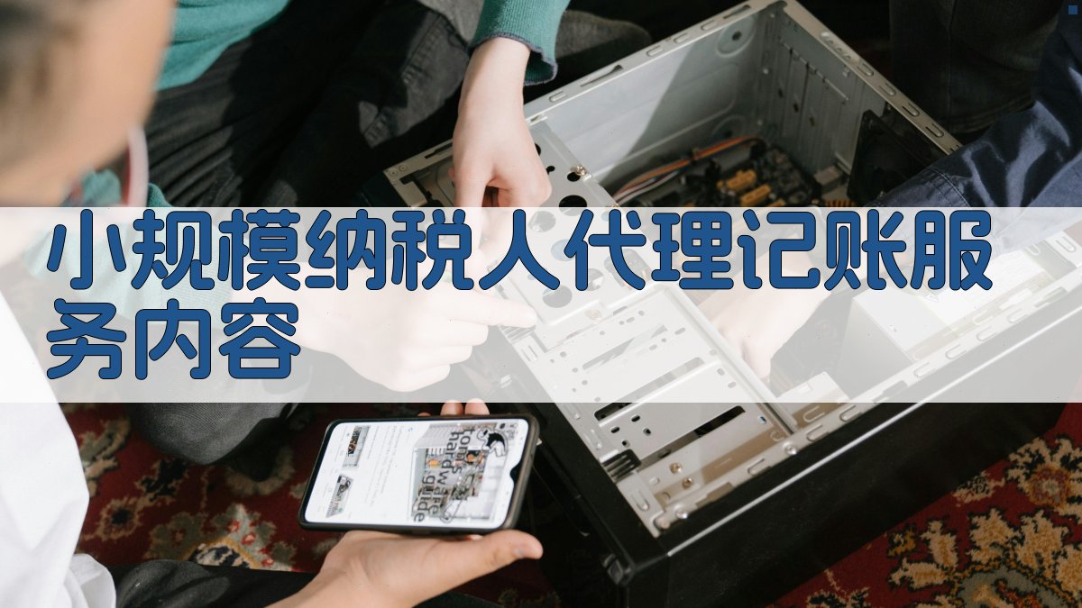 小规模纳税人代理记账服务内容 图2