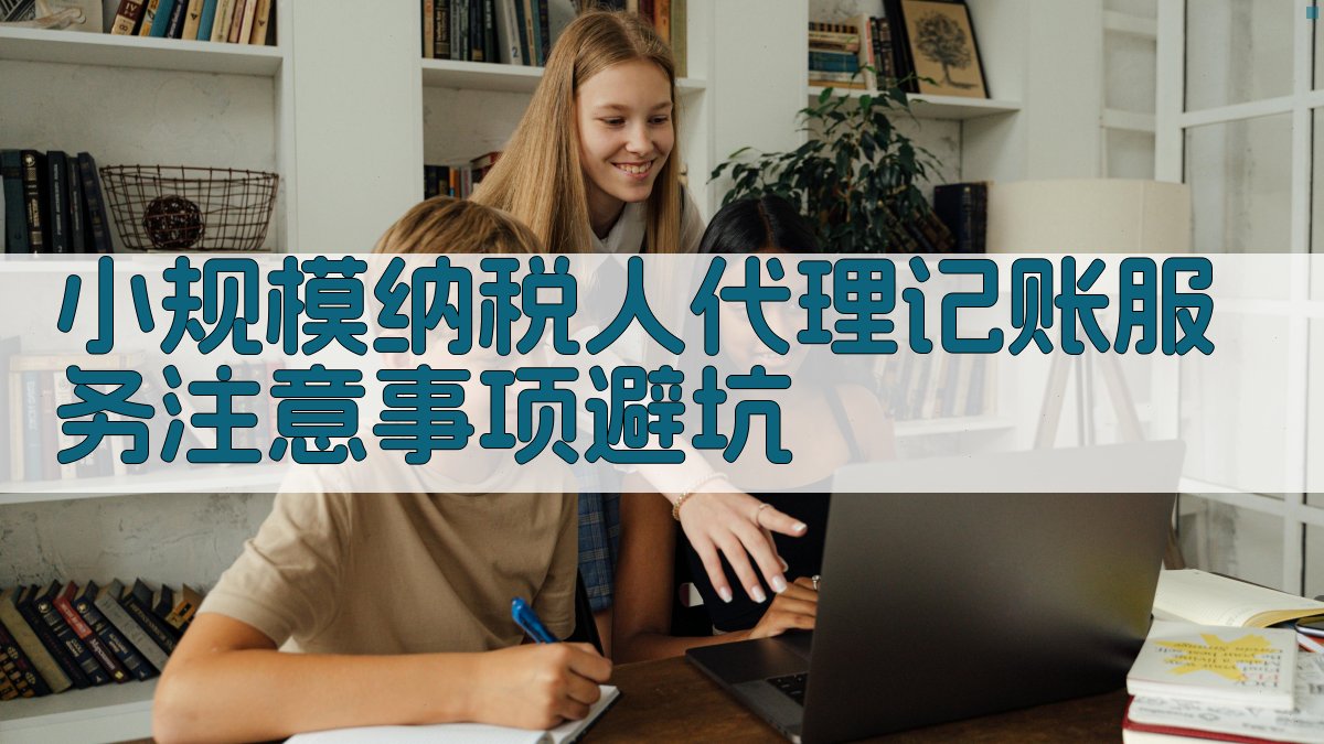小规模纳税人代理记账服务注意事项/避坑 图4