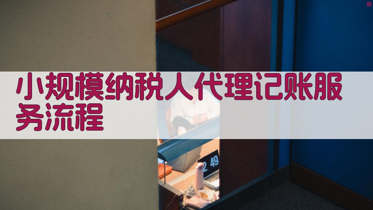 小规模纳税人代理记账服务流程 图1