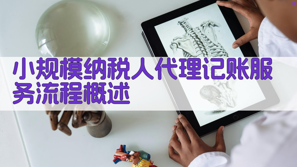 小规模纳税人代理记账服务流程概述 图1