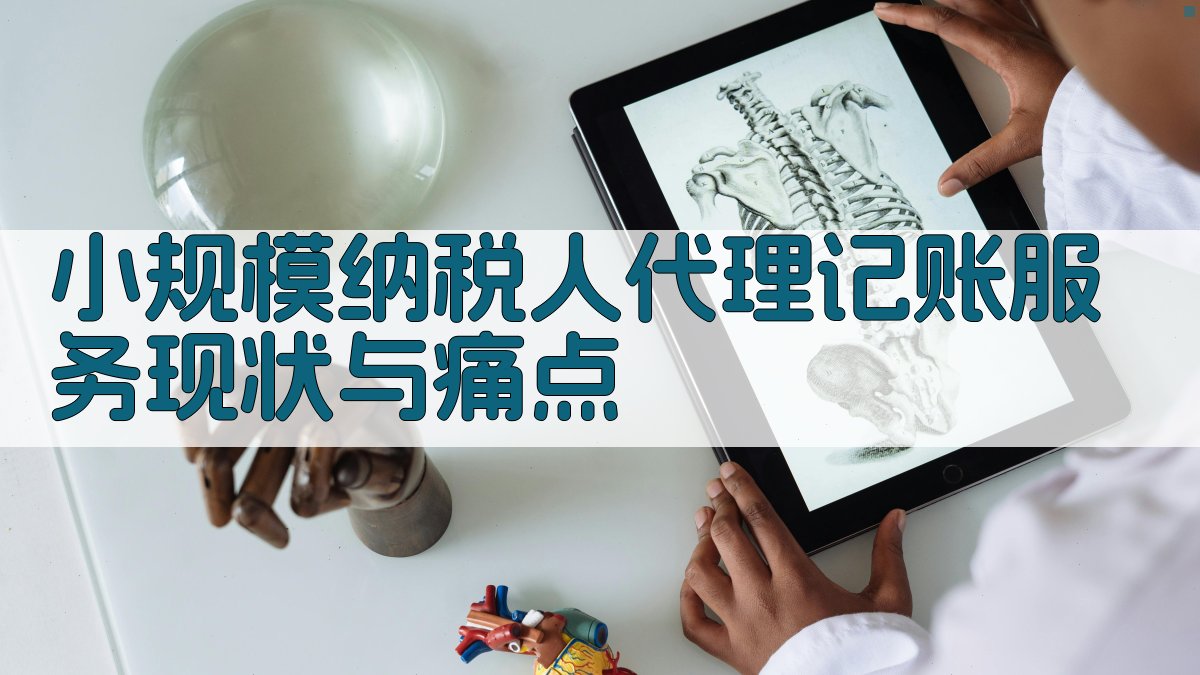 小规模纳税人代理记账服务现状与痛点 图1