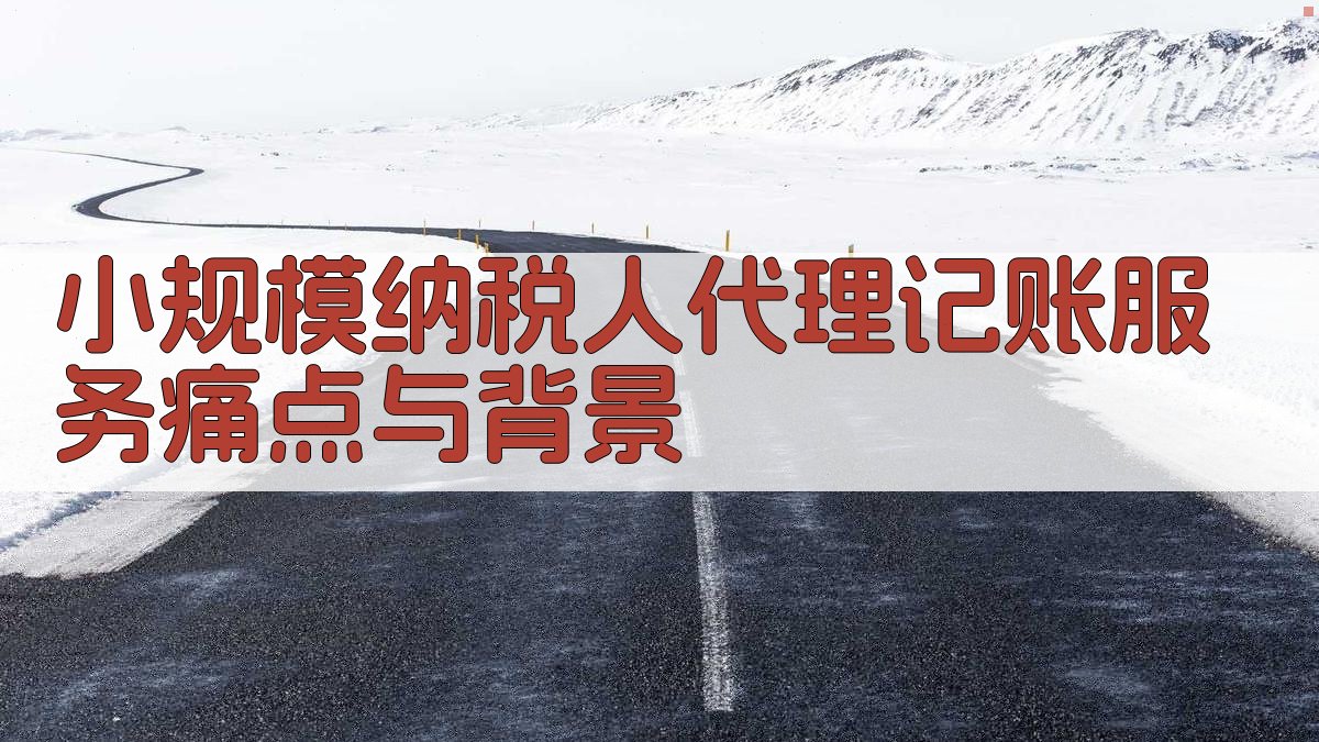 小规模纳税人代理记账服务痛点与背景 图1