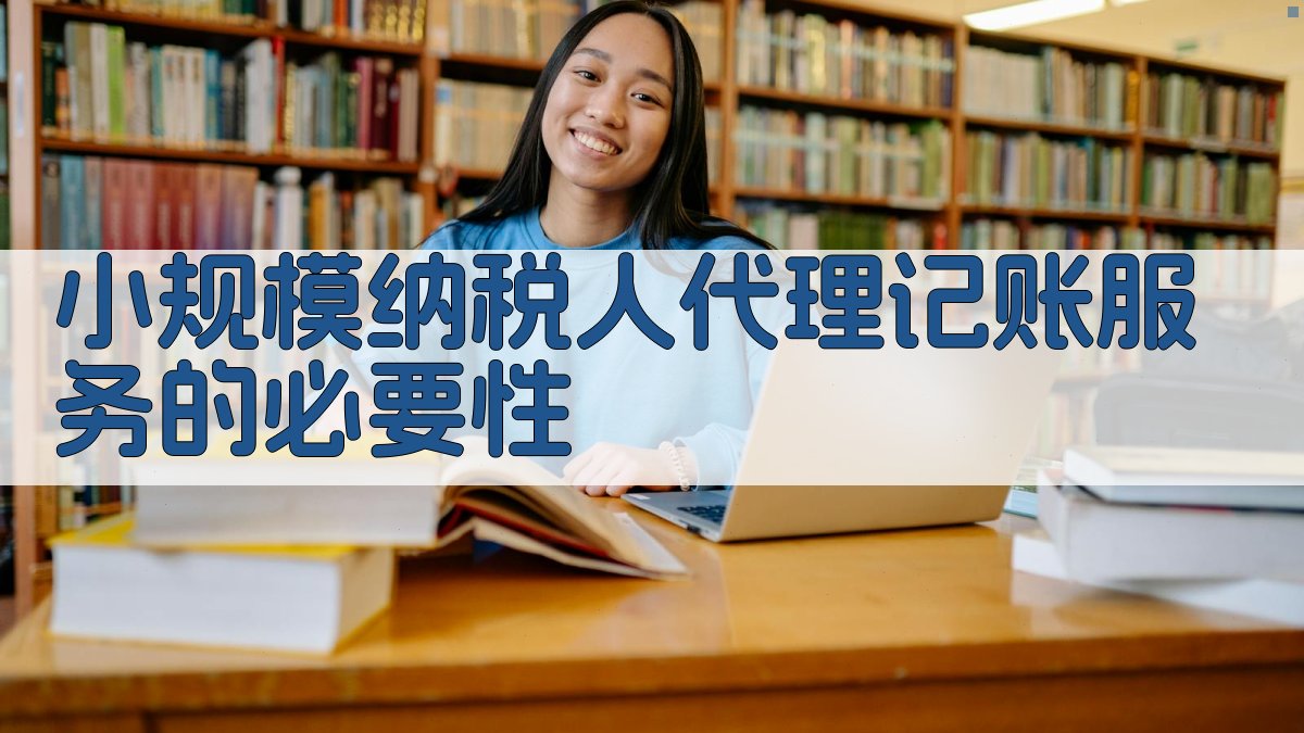 小规模纳税人代理记账服务的必要性 图1