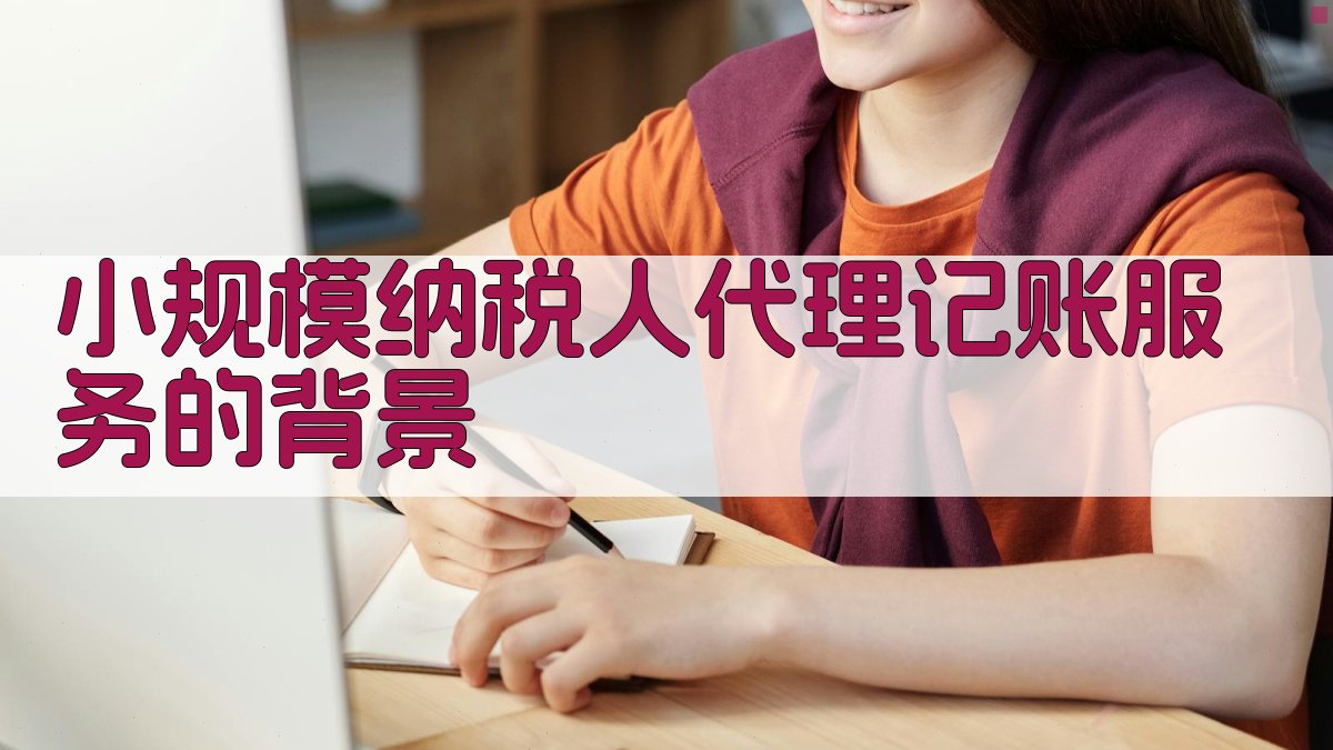 小规模纳税人代理记账服务的背景 图1