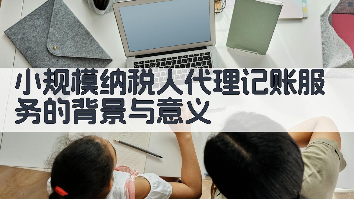 小规模纳税人代理记账服务的背景与意义 图1