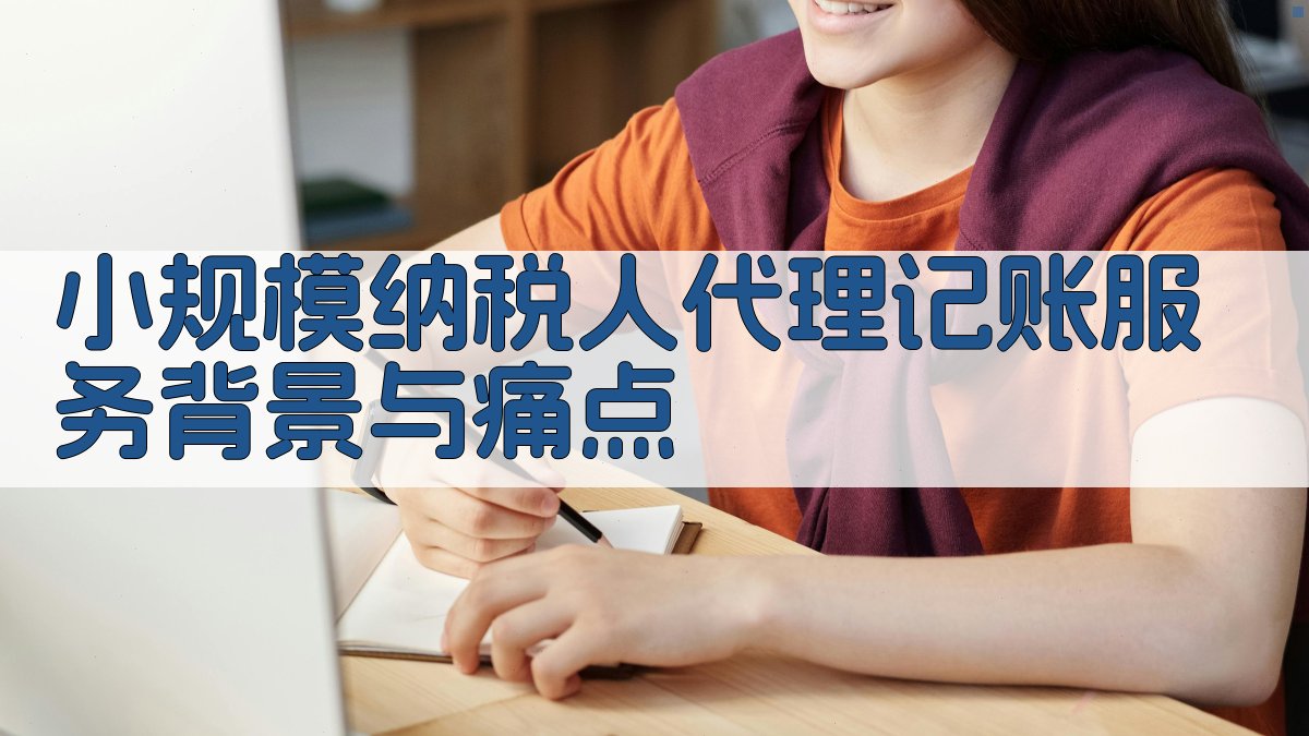 小规模纳税人代理记账服务背景与痛点 图1