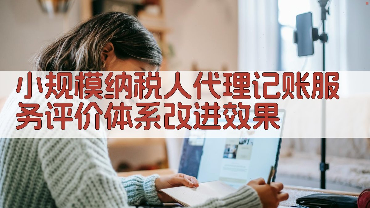 小规模纳税人代理记账服务评价体系改进效果 图3