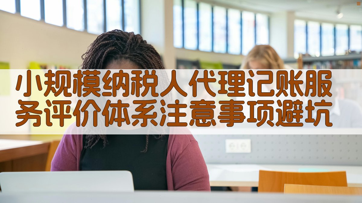 小规模纳税人代理记账服务评价体系注意事项/避坑 图3
