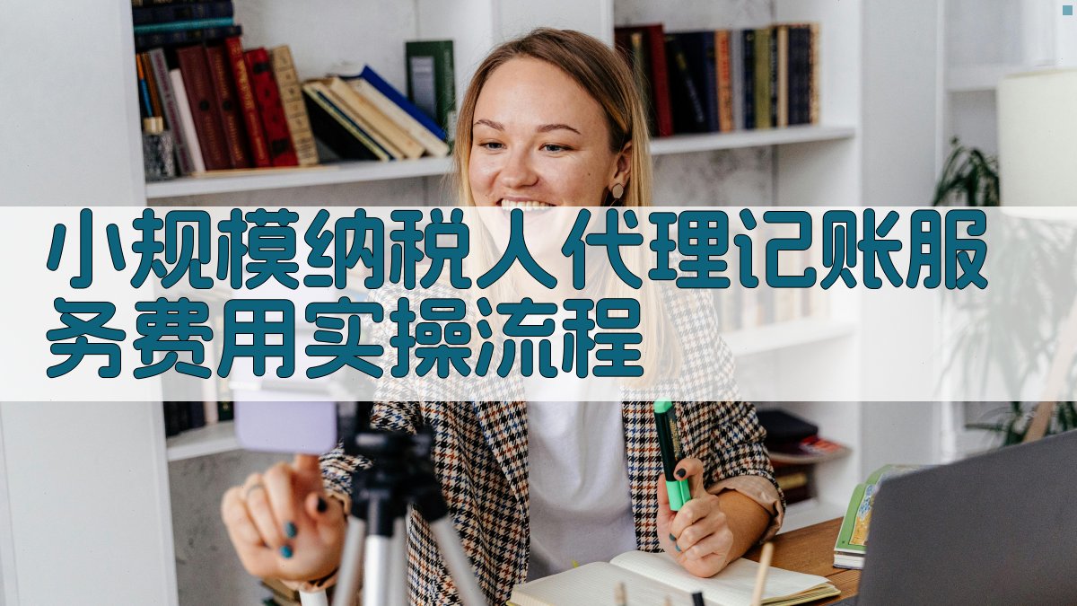 小规模纳税人代理记账服务费用实操流程 图1