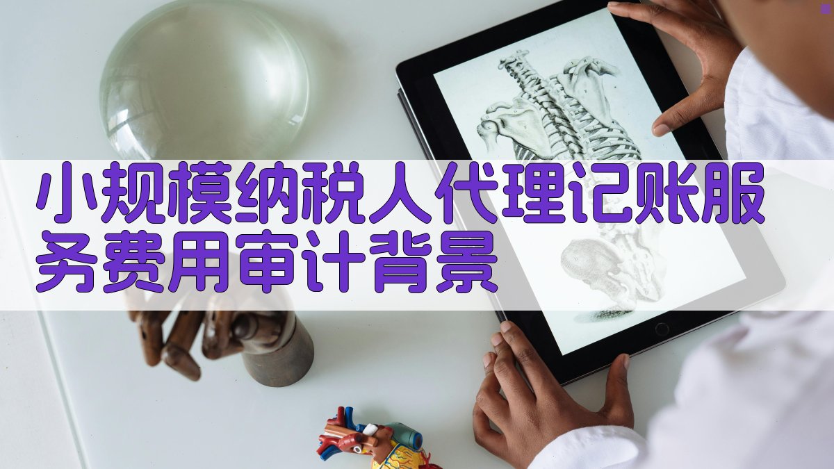 小规模纳税人代理记账服务费用审计背景 图1