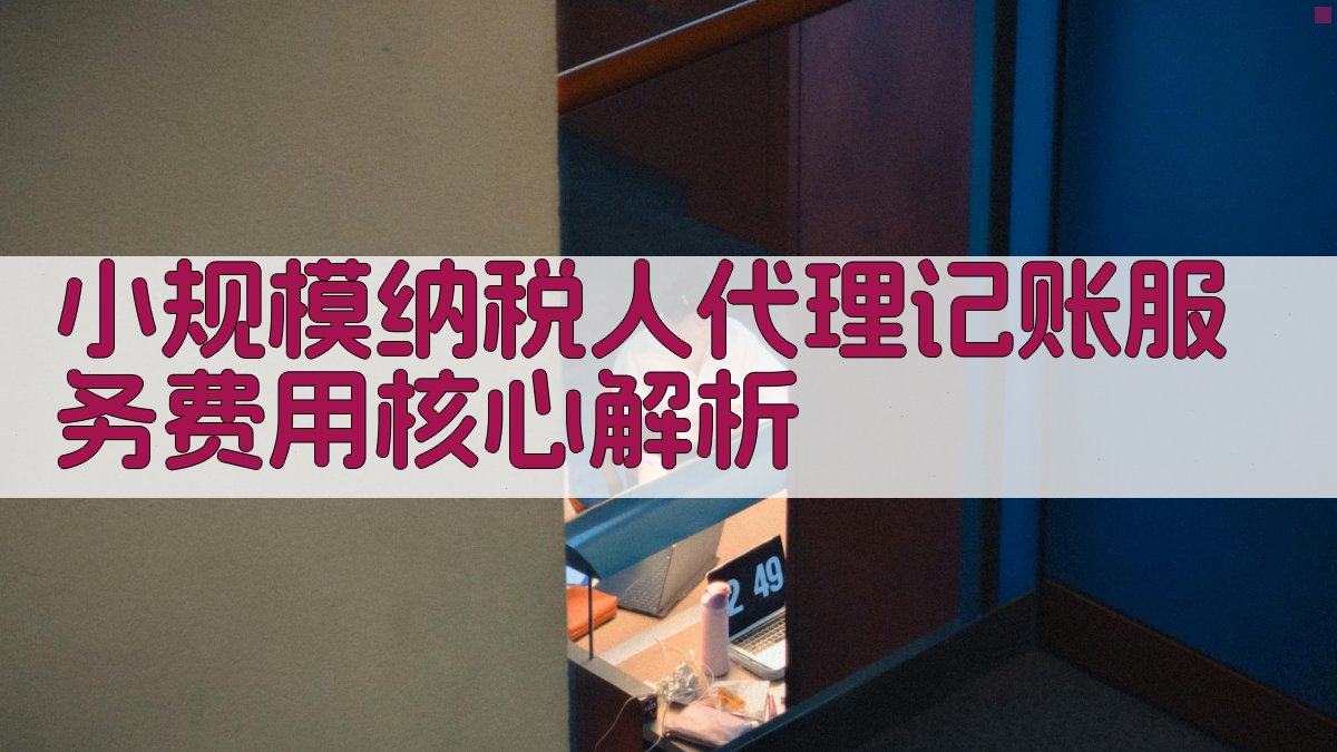 小规模纳税人代理记账服务费用核心解析 图2