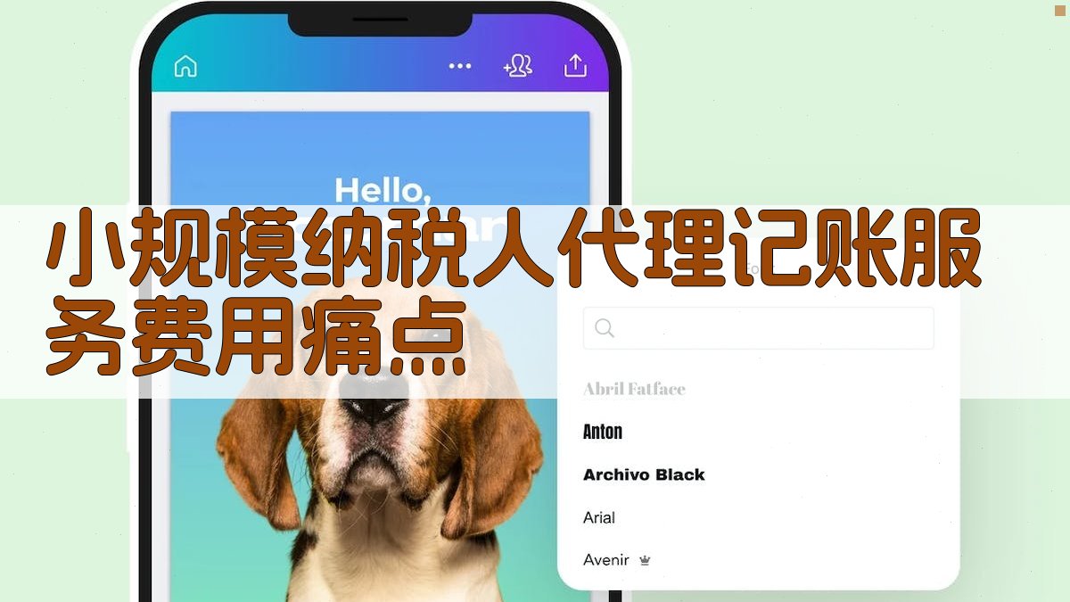 小规模纳税人代理记账服务费用痛点 图1