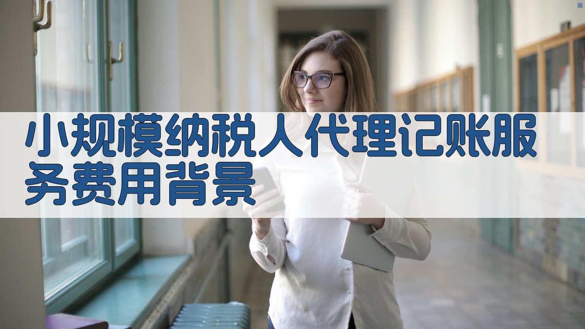小规模纳税人代理记账服务费用背景 图1