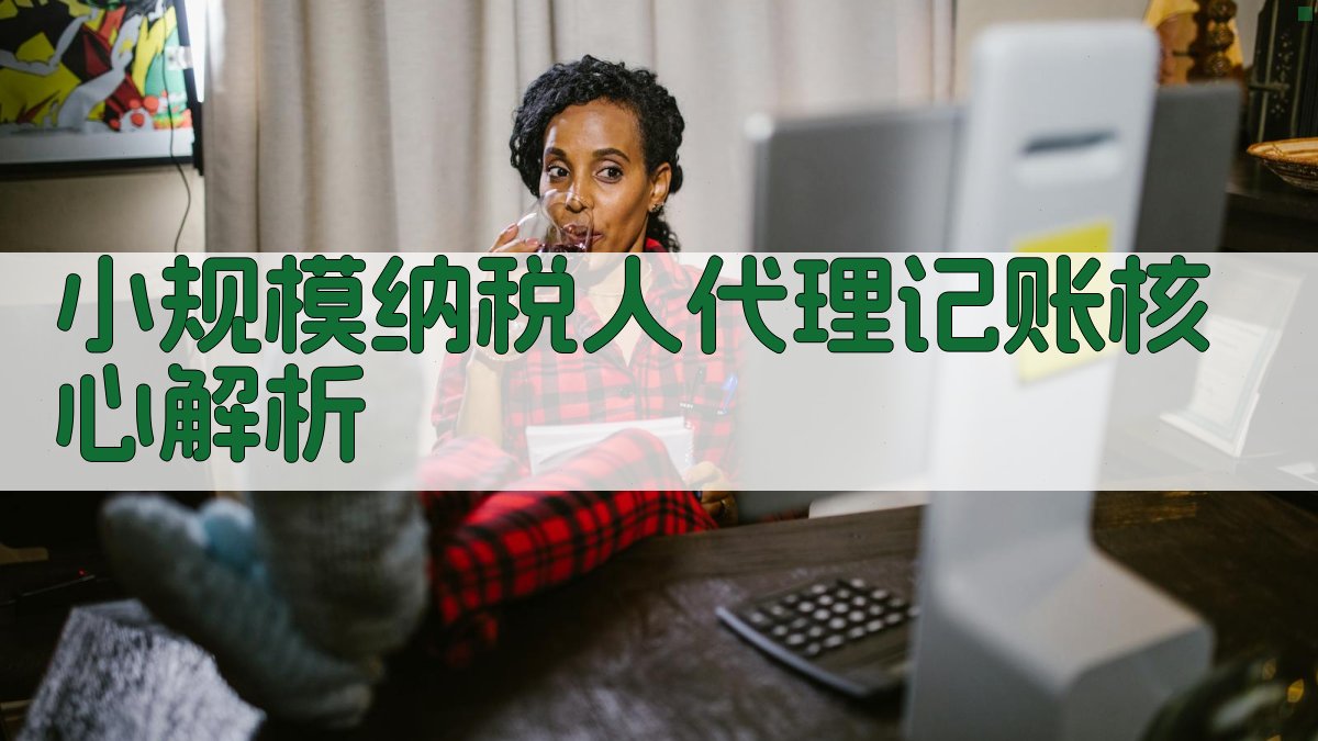 小规模纳税人代理记账核心解析 图2