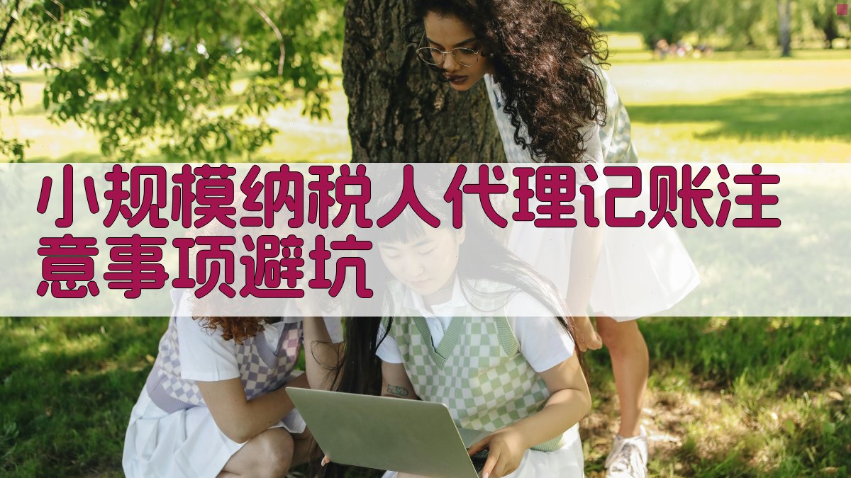 小规模纳税人代理记账注意事项/避坑 图3