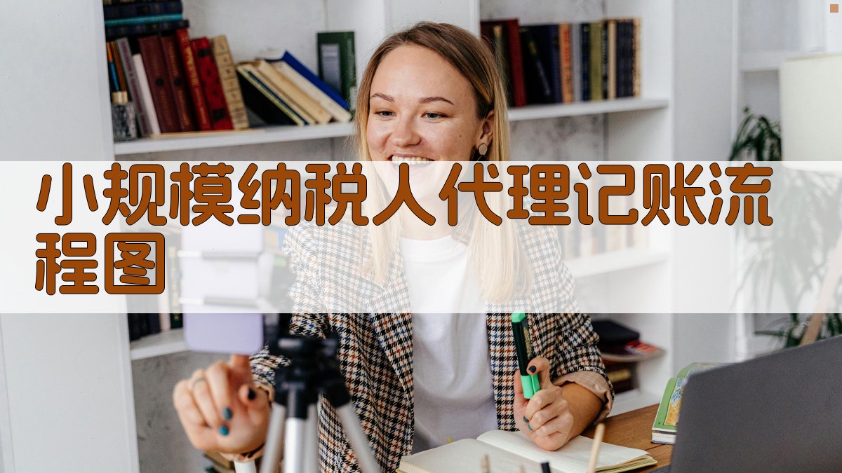 小规模纳税人代理记账流程图 图2