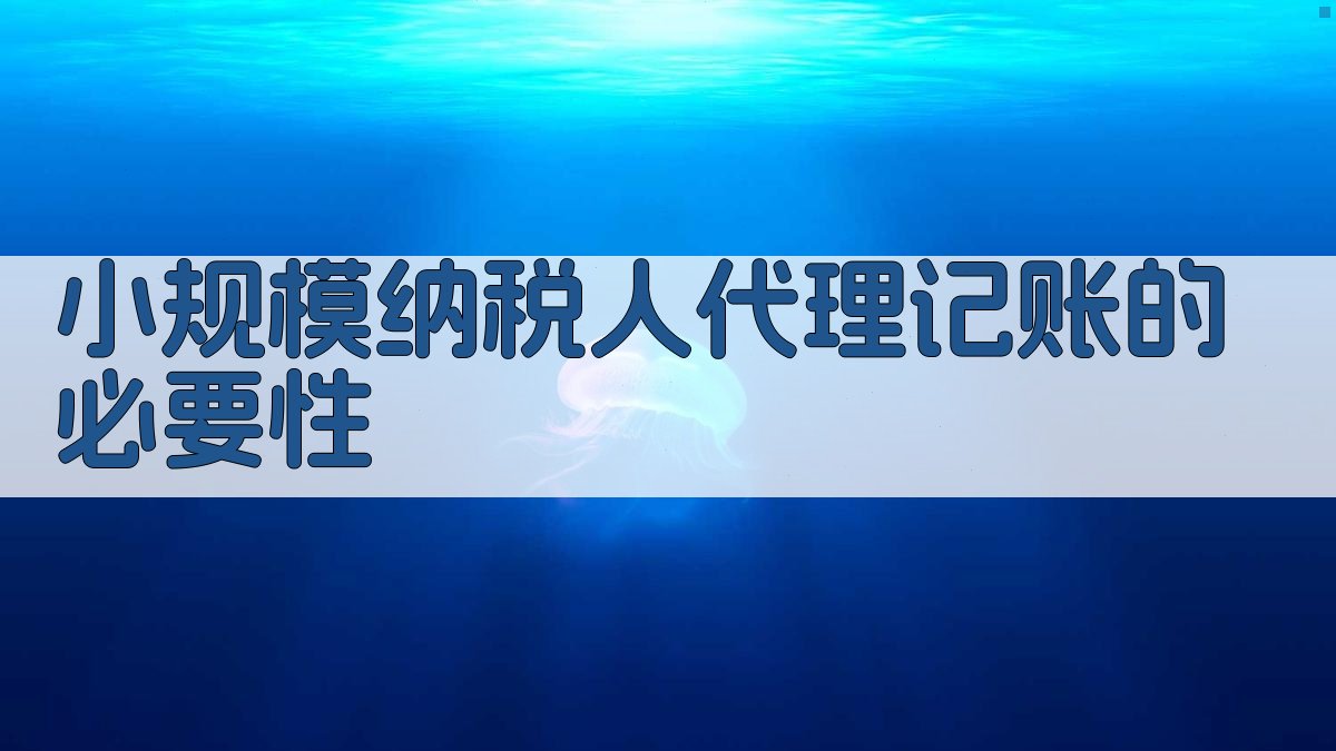 小规模纳税人代理记账的必要性 图1