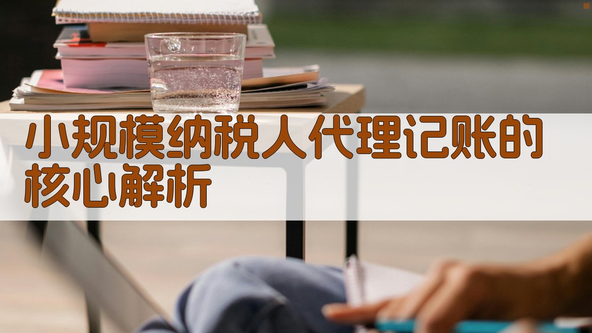 小规模纳税人代理记账的核心解析 图2