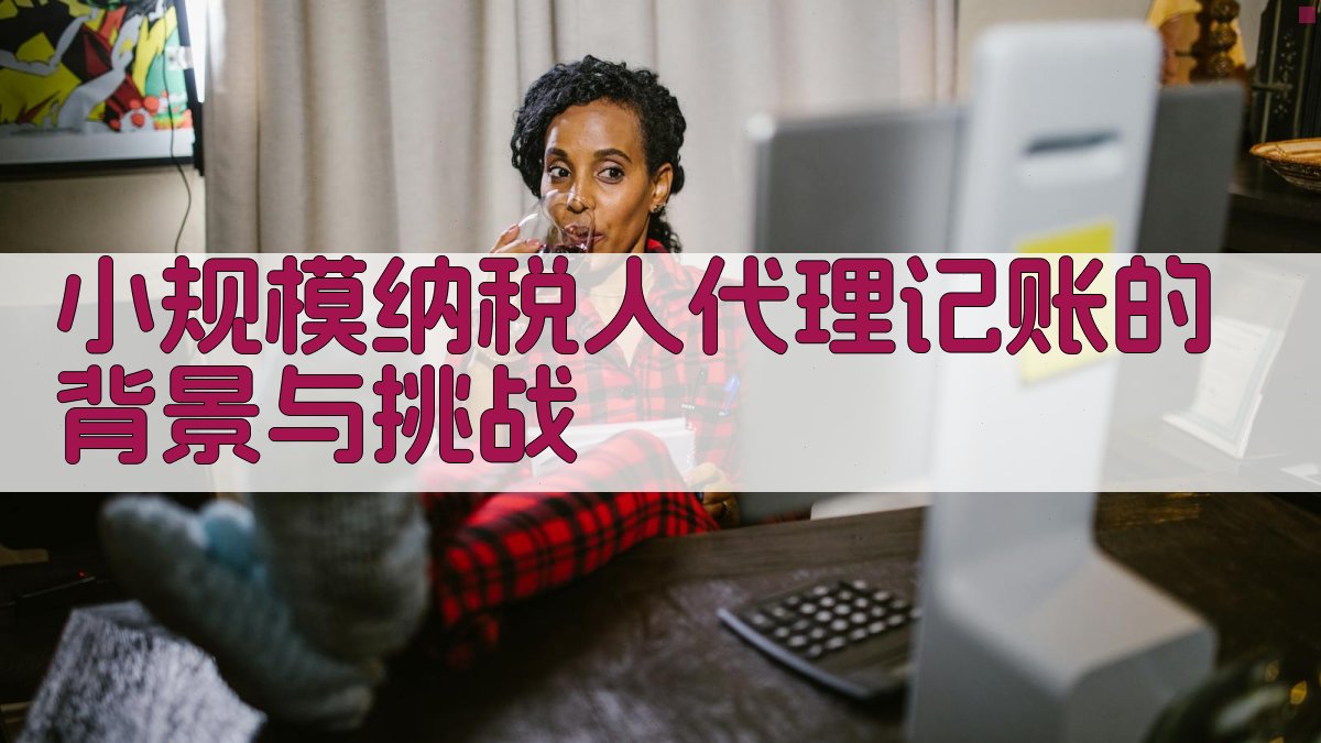 小规模纳税人代理记账的背景与挑战 图1