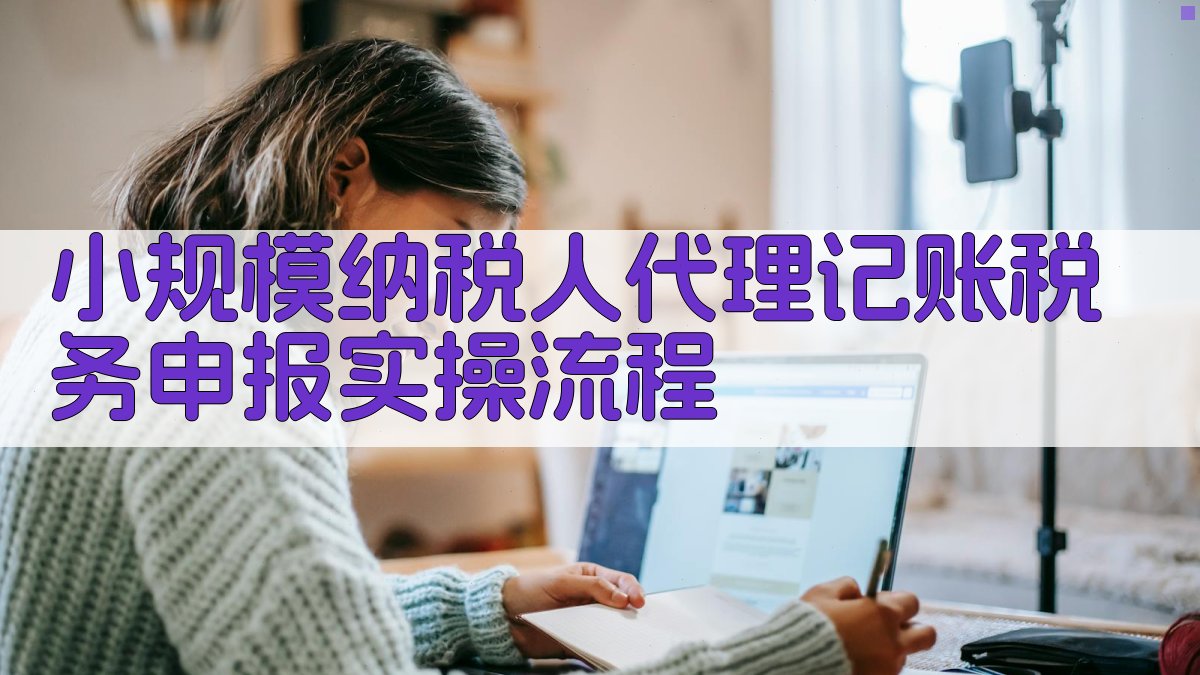 小规模纳税人代理记账税务申报实操流程 图2