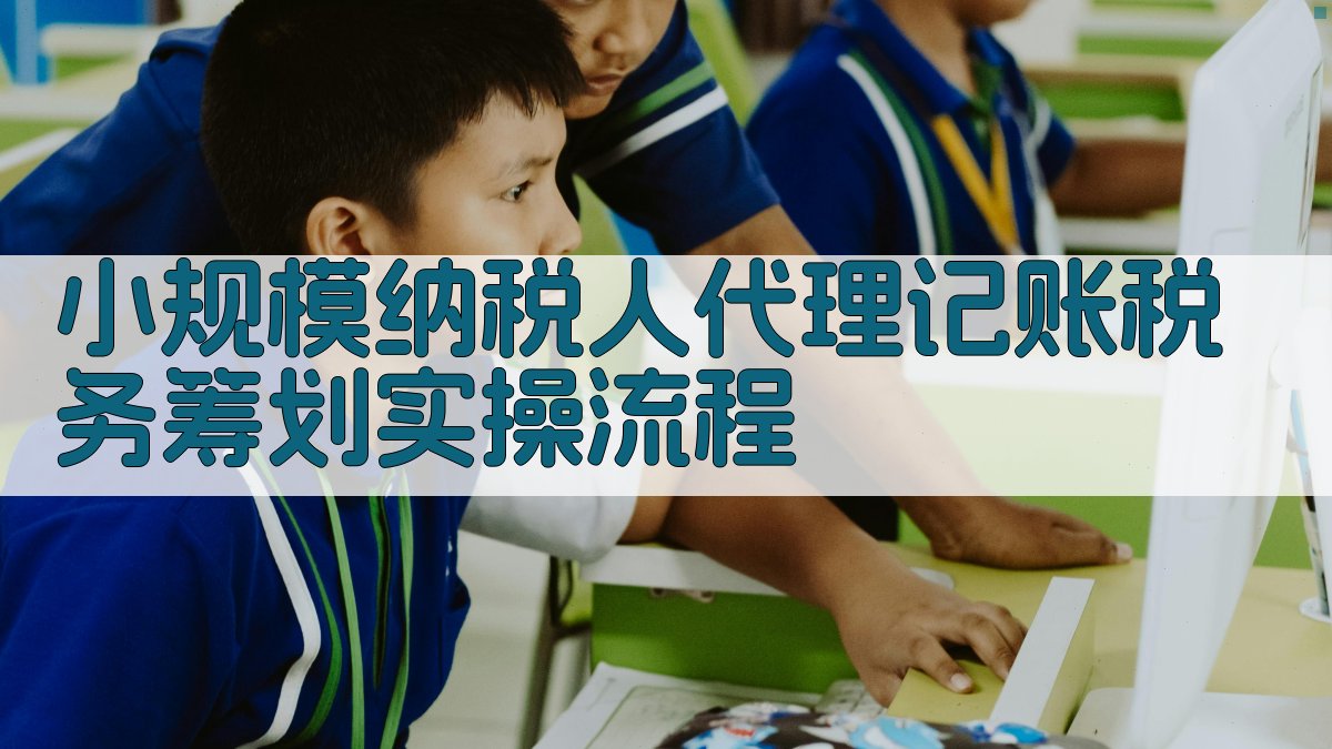 小规模纳税人代理记账税务筹划实操流程 图1