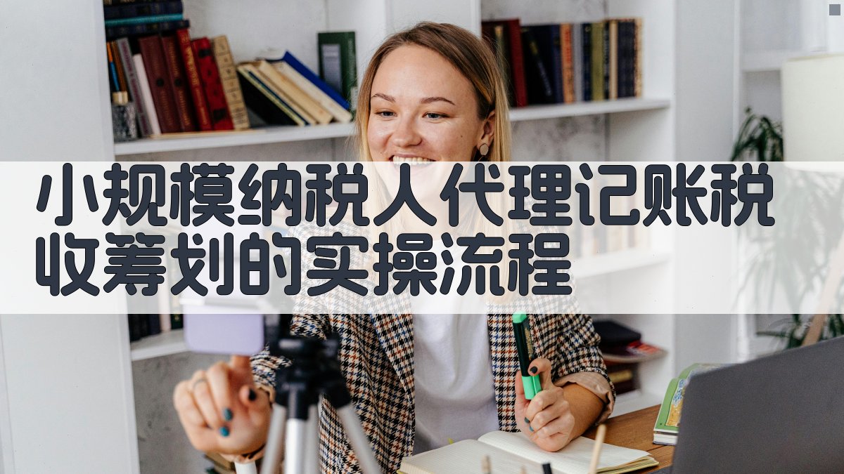 小规模纳税人代理记账税收筹划的实操流程 图3