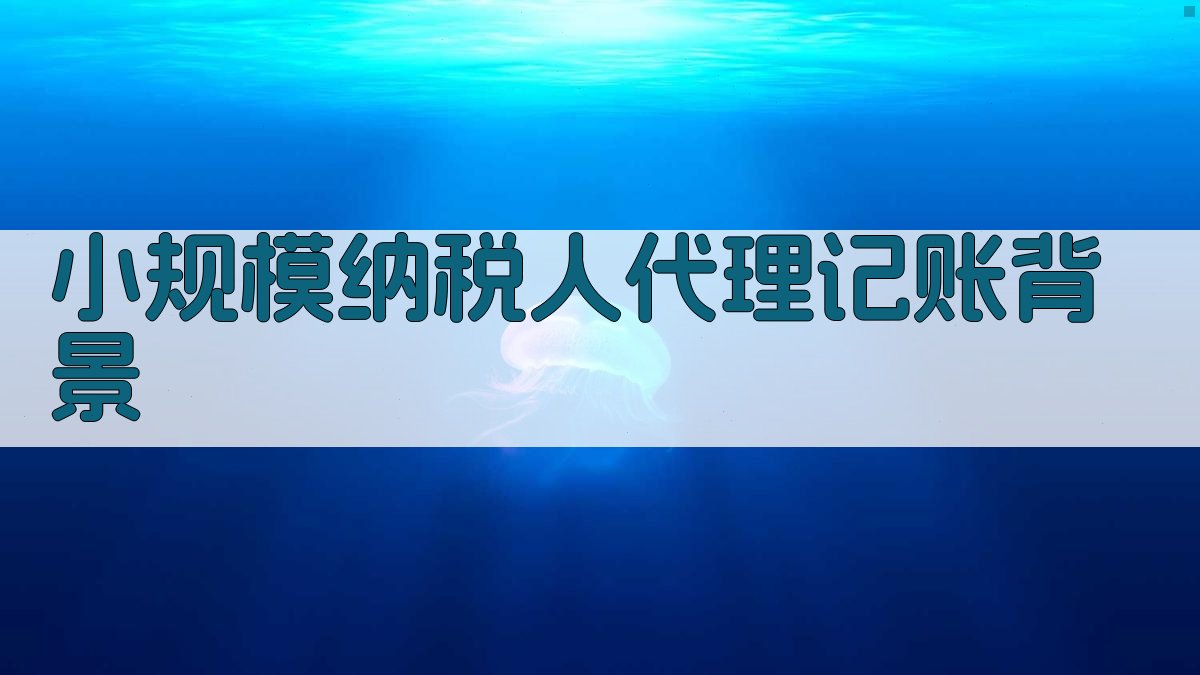 小规模纳税人代理记账背景 图1