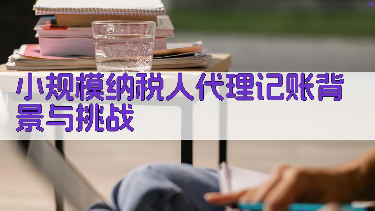 小规模纳税人代理记账背景与挑战 图1