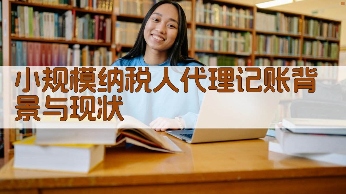 小规模纳税人代理记账背景与现状 图1