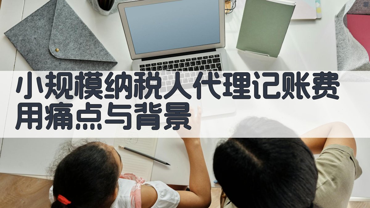 小规模纳税人代理记账费用痛点与背景 图1
