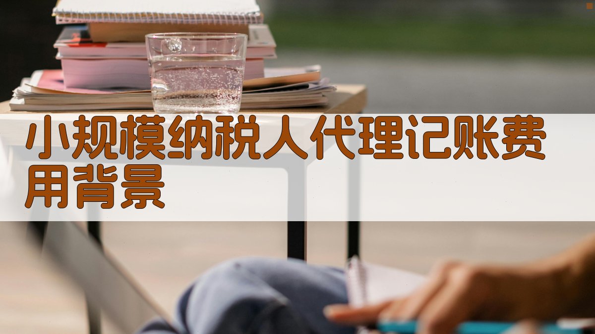 小规模纳税人代理记账费用背景 图1
