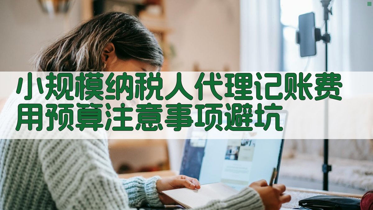 小规模纳税人代理记账费用预算注意事项/避坑 图2
