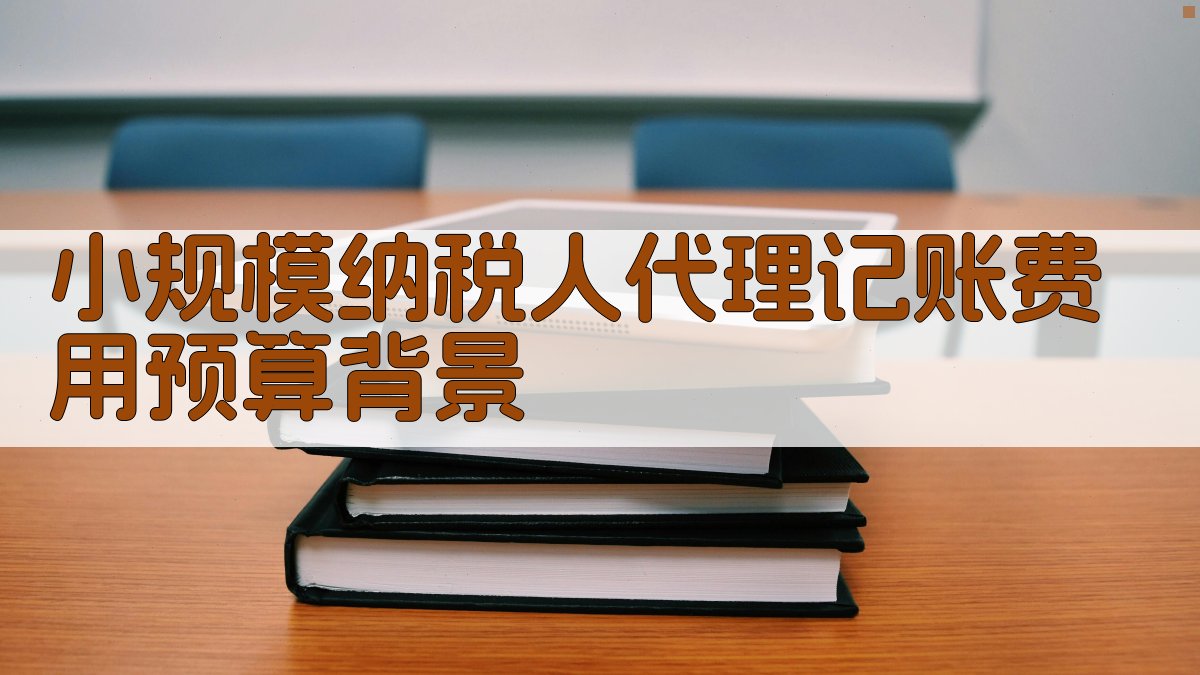 小规模纳税人代理记账费用预算背景 图1